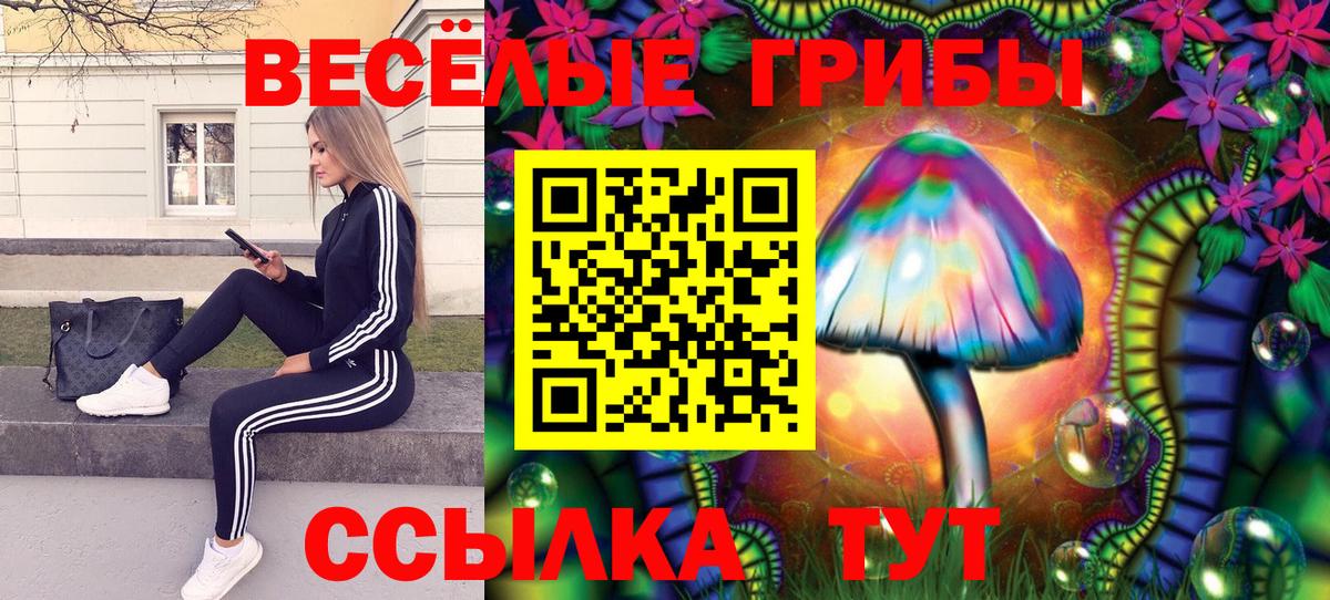 Ликино-Дулёво  Псилоцибиновые грибы прущие грибы  Вход с VPN 